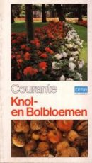 Courante knol- en bolbloemen